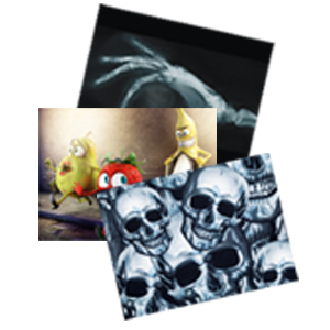 SKIN P/NETBOOK SK004 (10)